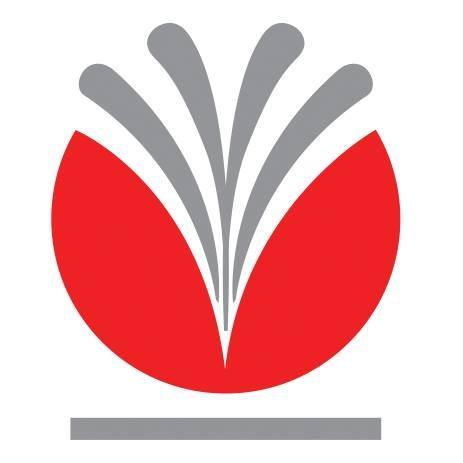 Skills to Counter Disinformation and Manage the Covid-19 Pandemic logo